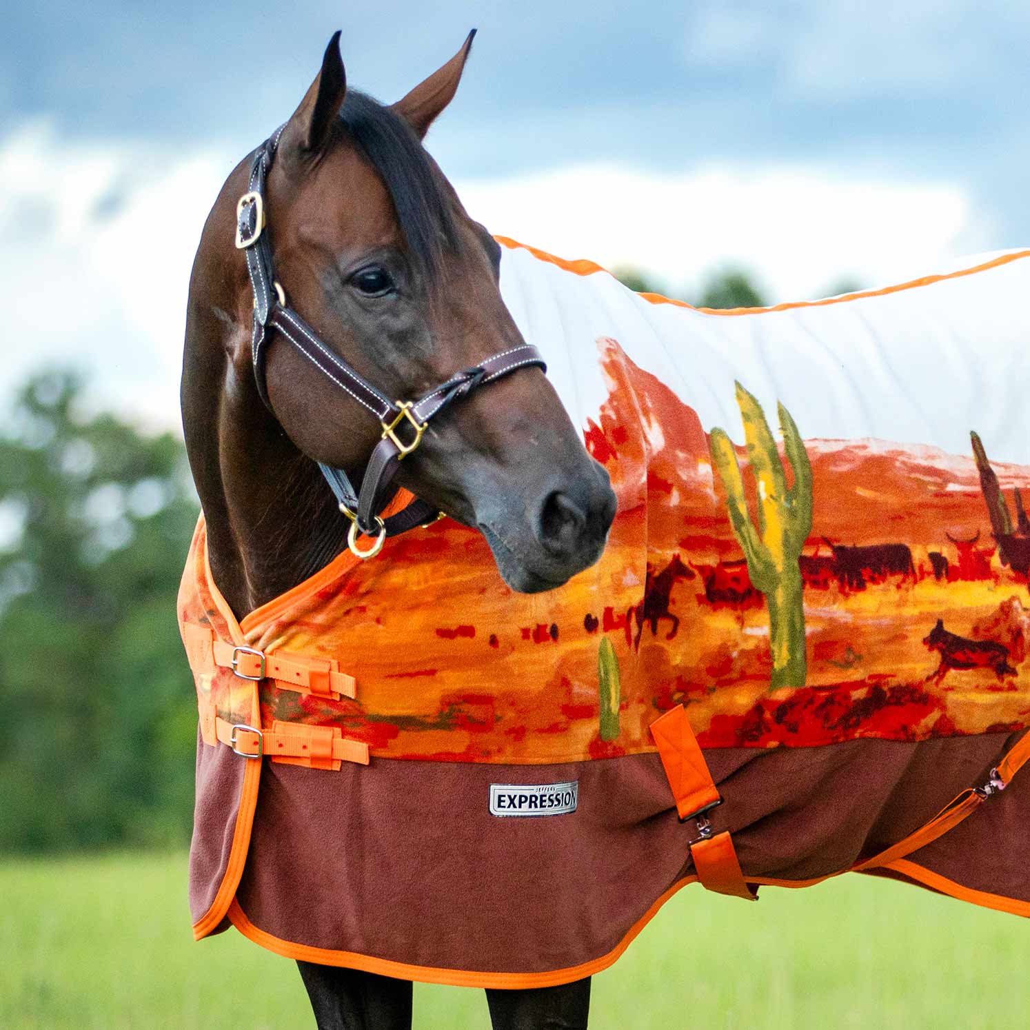 Jeffers Expression Standard Neck Fleece Horse Cooler - Image 17