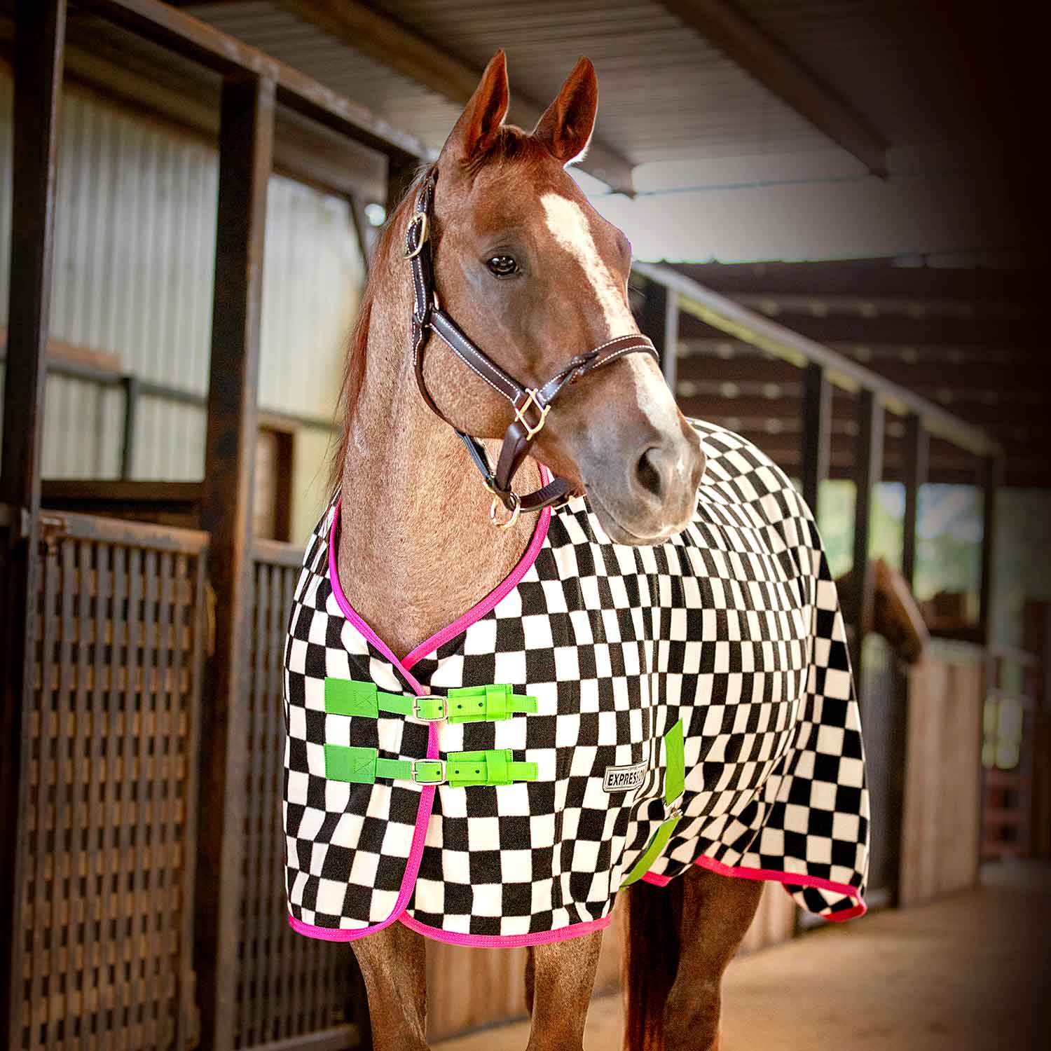 Jeffers Expression Standard Neck Fleece Horse Cooler - Image 9