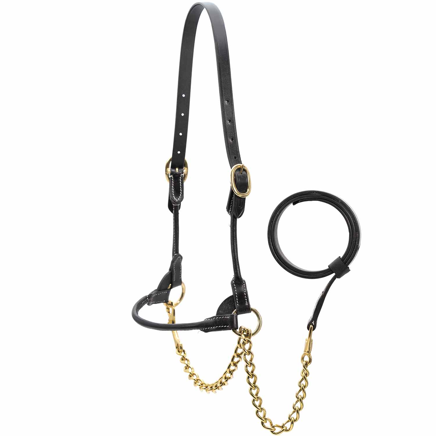 Jeffers Harness Leather Show Halter for Cattle – Includes Lead & Brass Chain - Image 4
