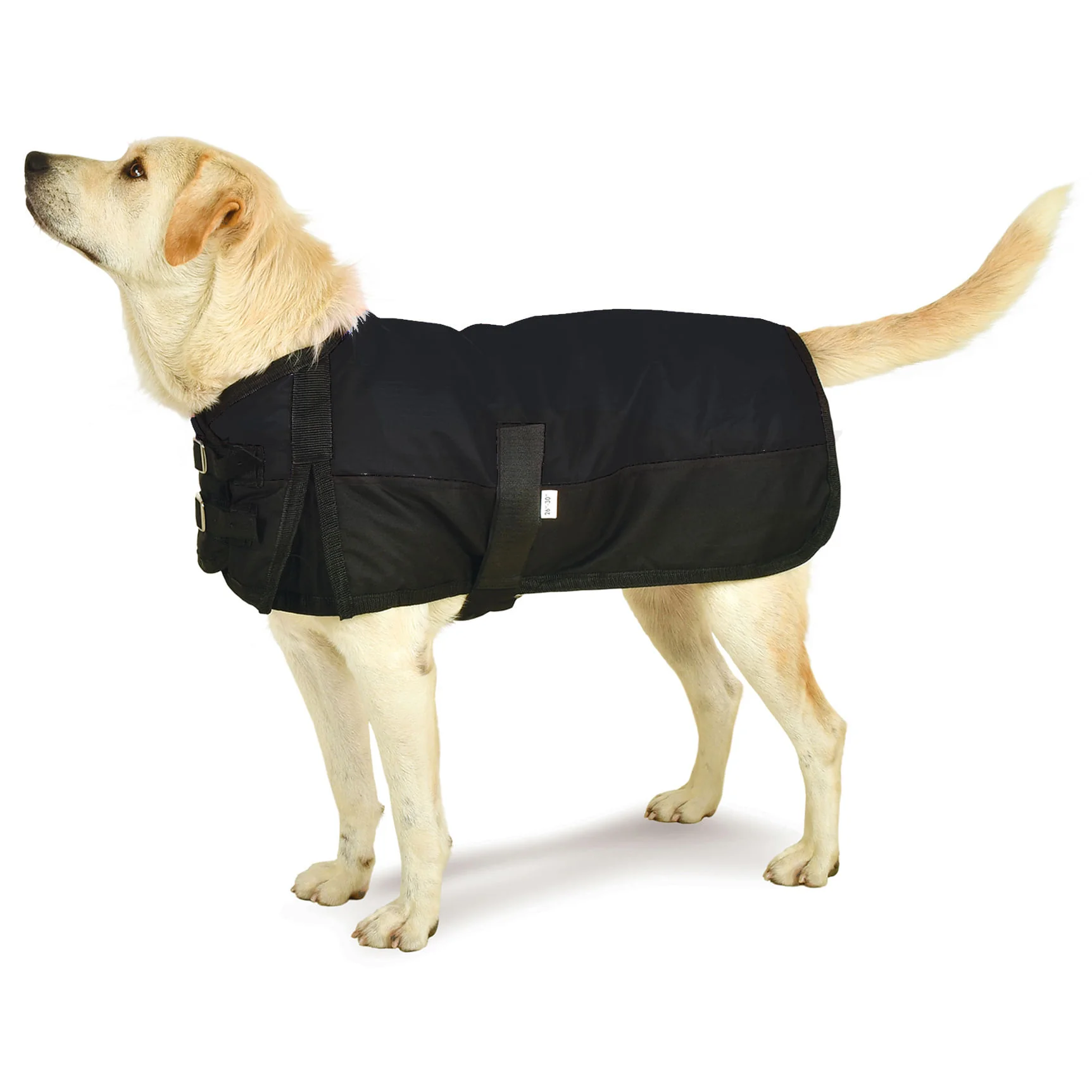 Jeffers Premium Winter Dog Coat - Image 3