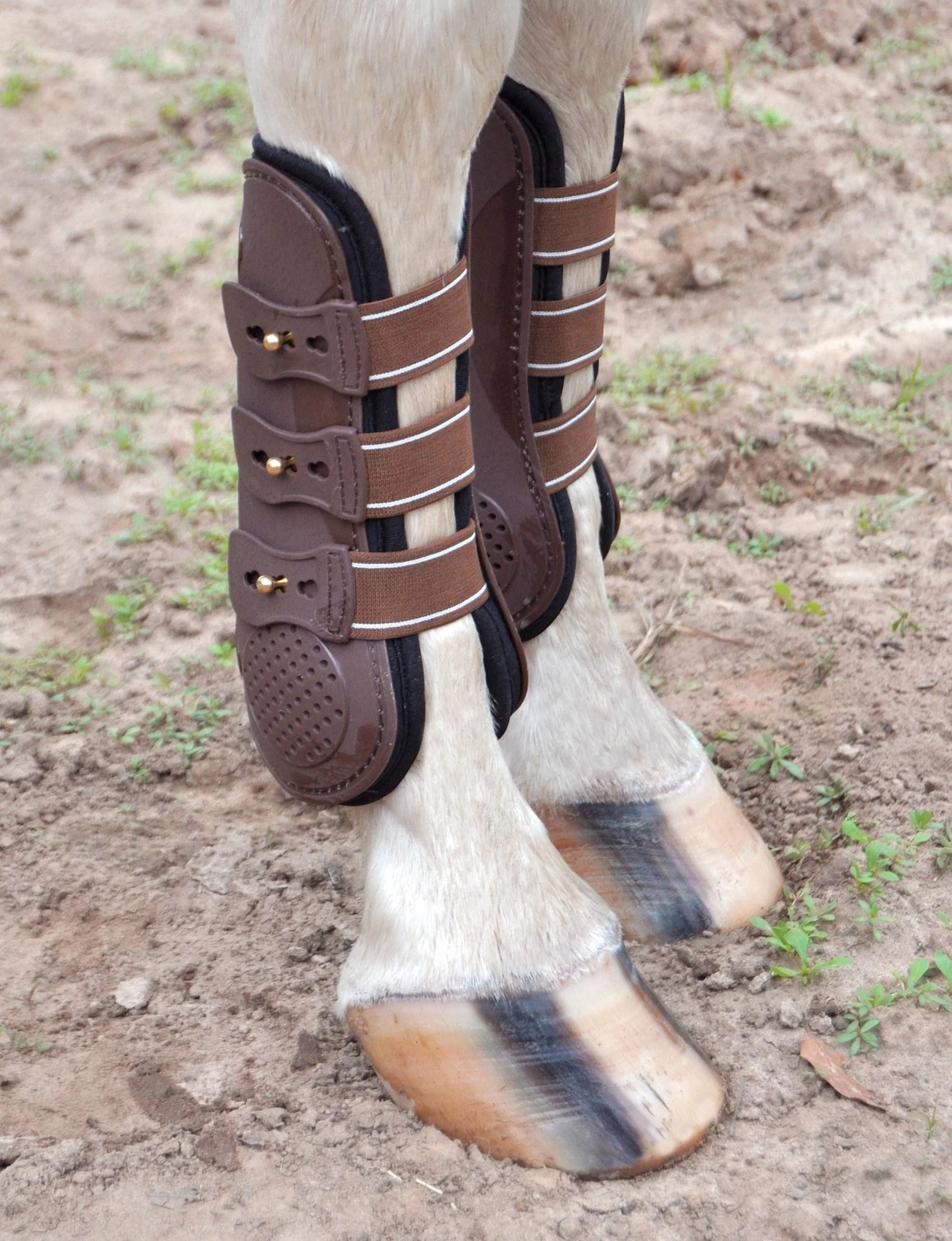 Jeffers Uniquely English Horse Tendon Boots, 2-Pack - Image 2