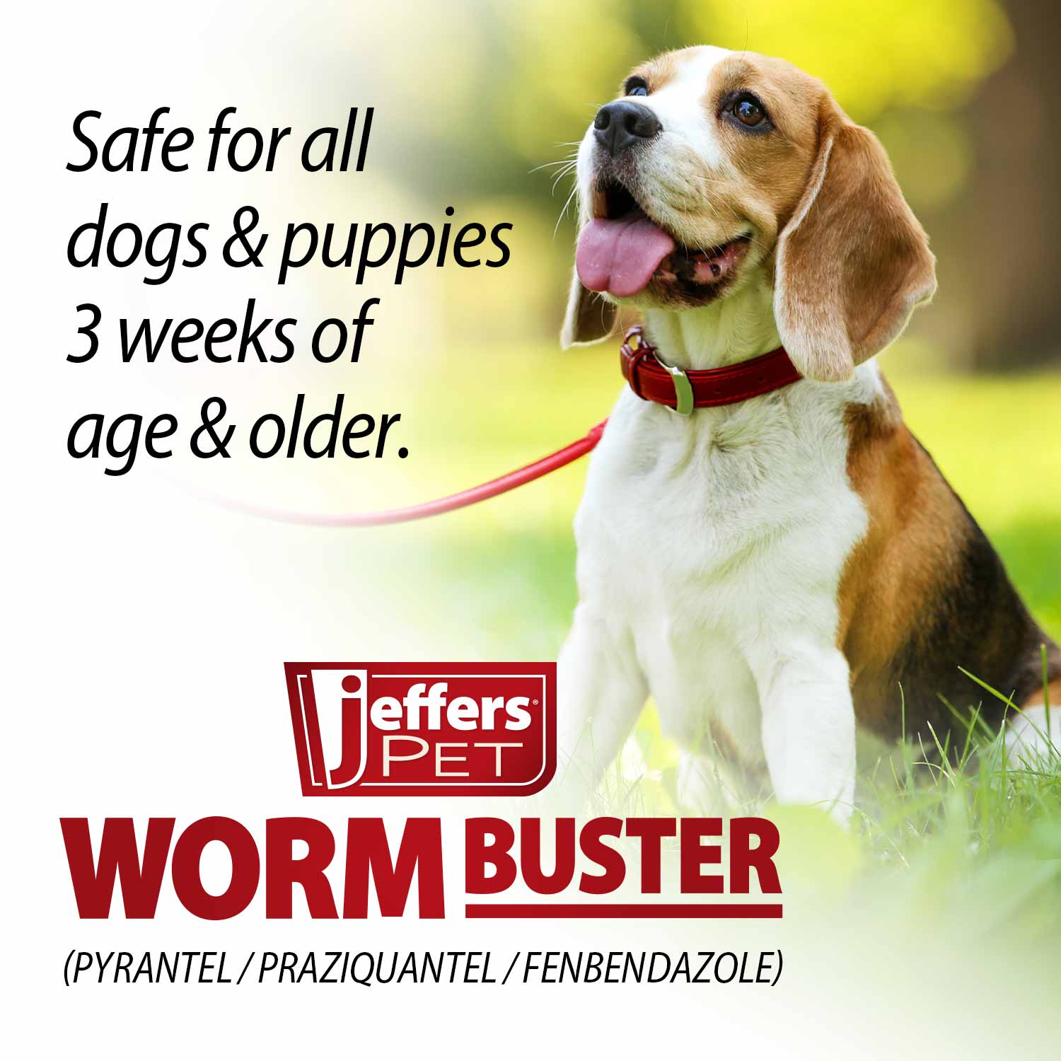 Jeffers Worm Buster Dog Dewormer Flavored Tablets - Image 6