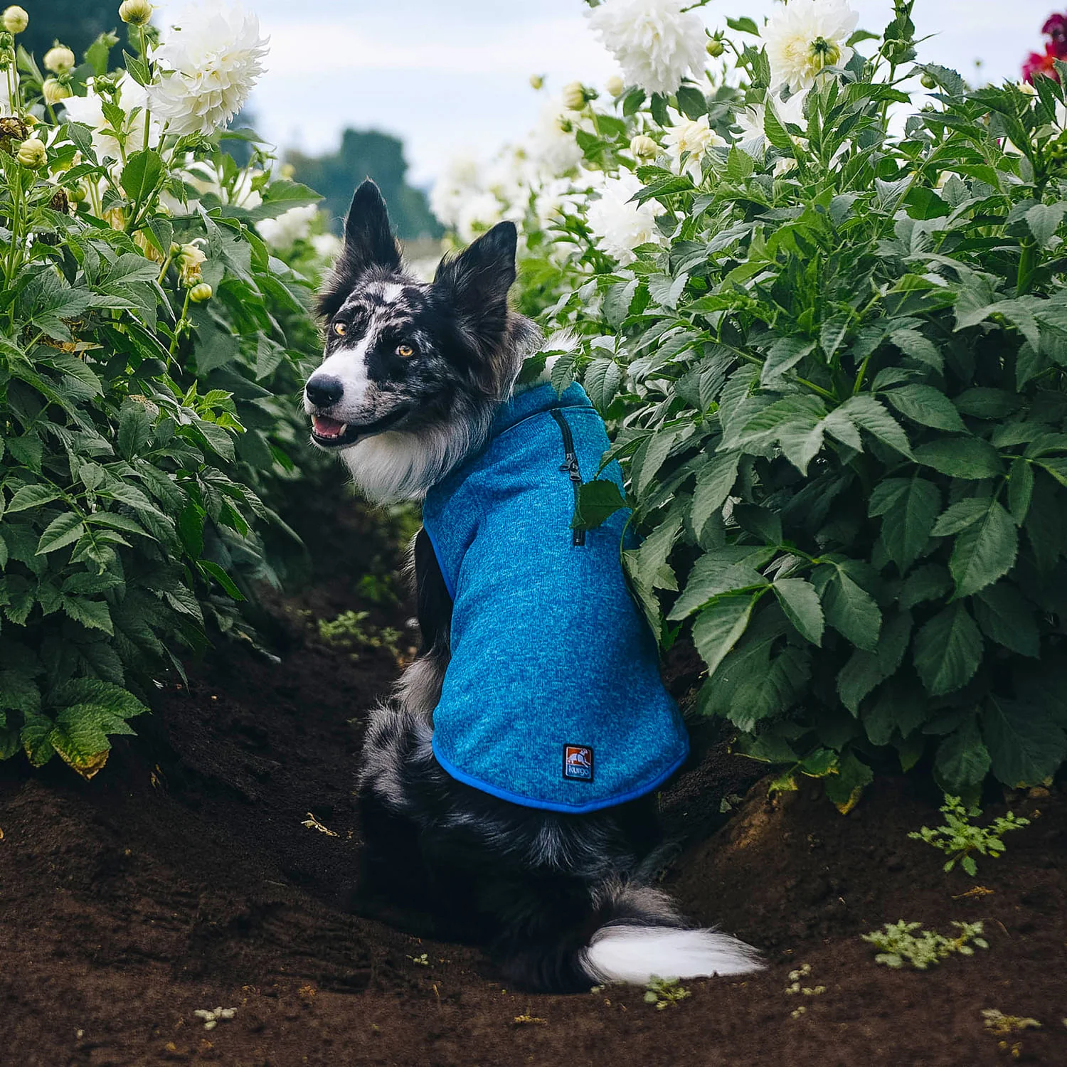 Kurgo K9 Core Dog Sweater - Image 11