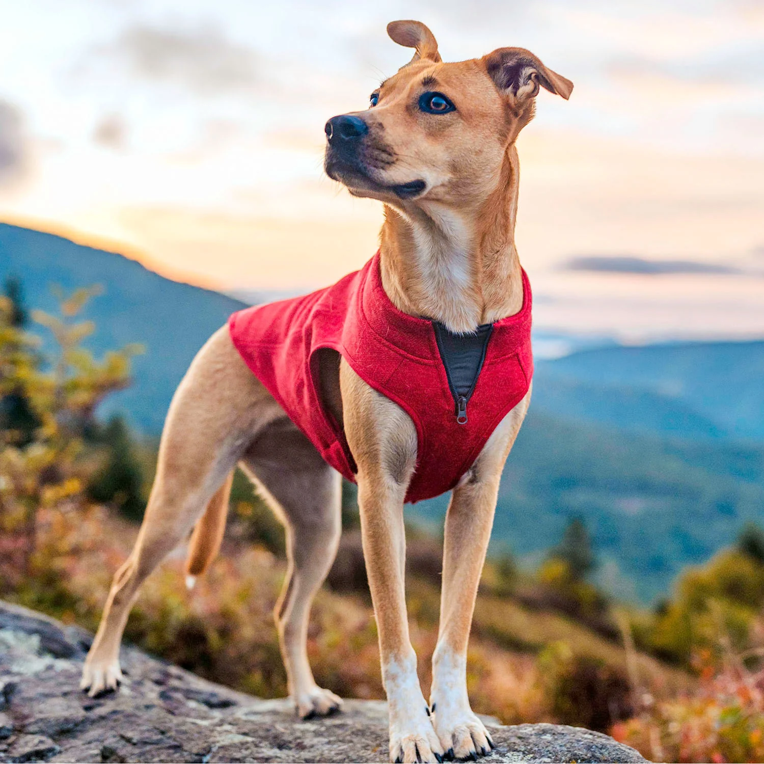 Kurgo K9 Core Dog Sweater - Image 19