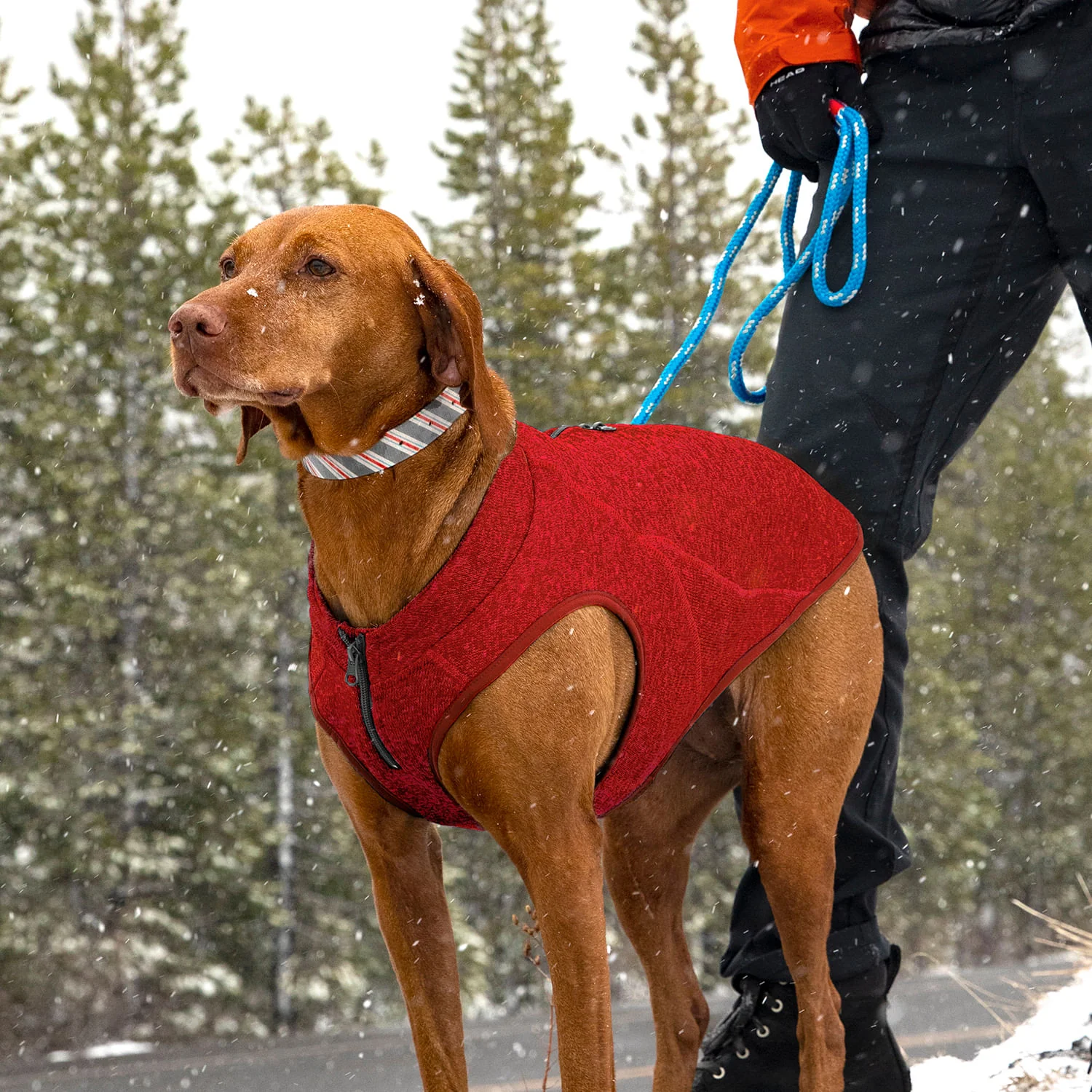 Kurgo K9 Core Dog Sweater - Image 20