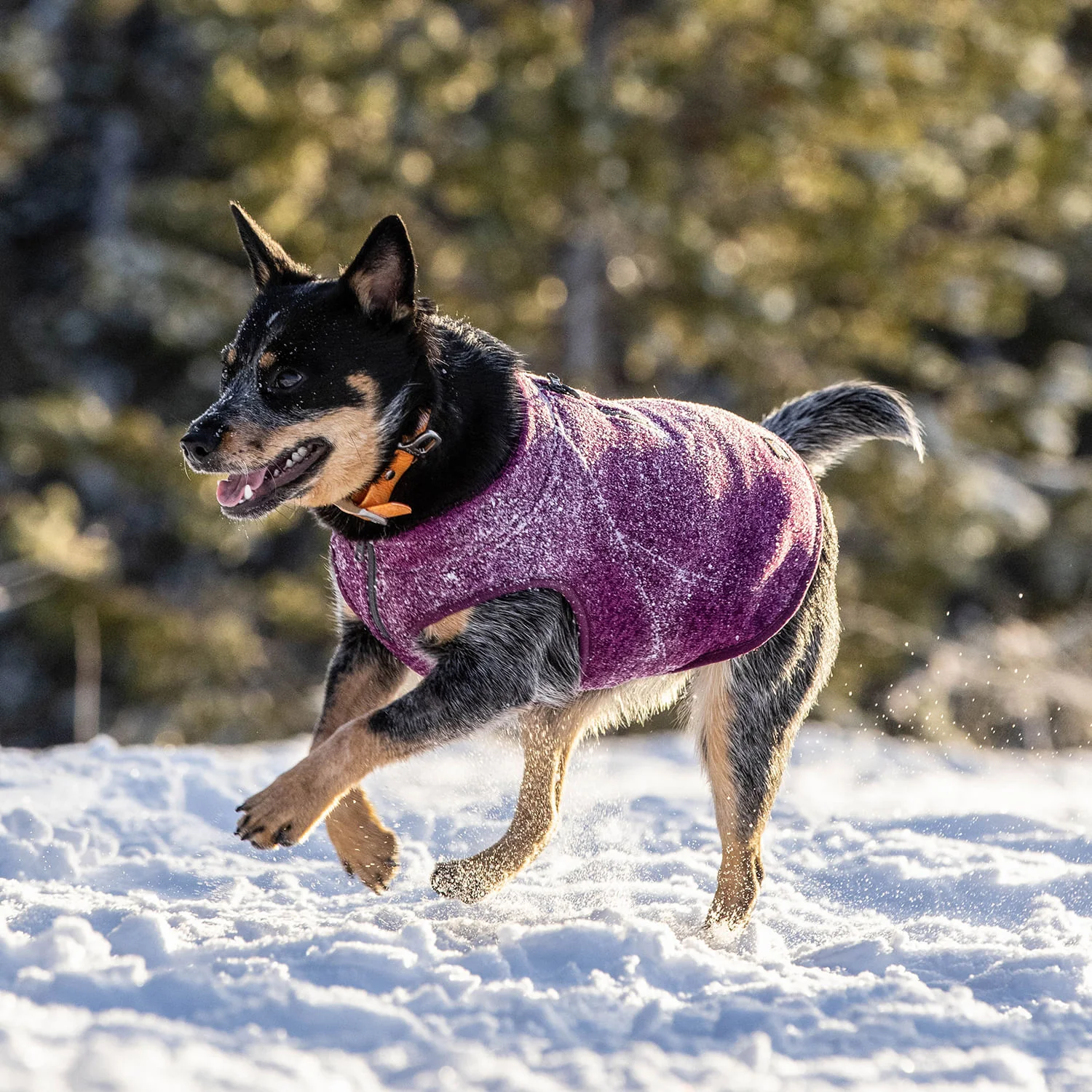 Kurgo K9 Core Dog Sweater - Image 31