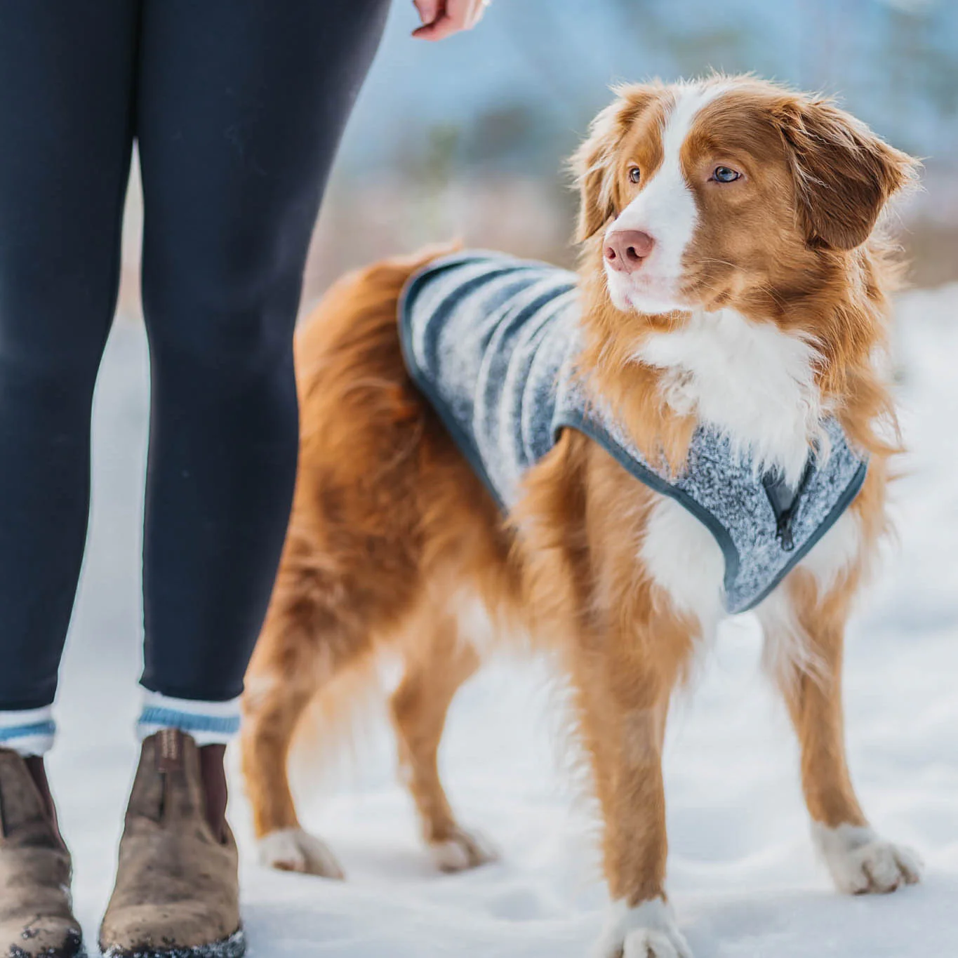Kurgo K9 Core Dog Sweater - Image 44