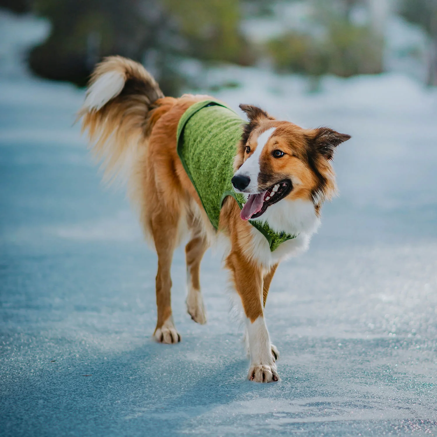 Kurgo K9 Core Dog Sweater - Image 73