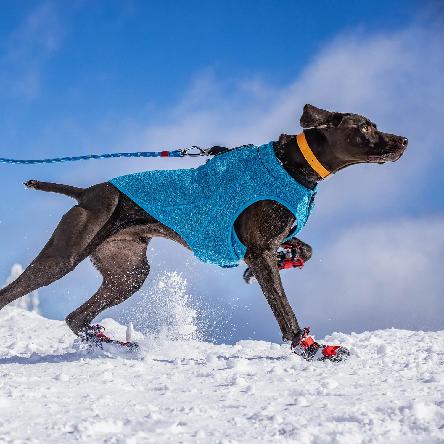 Kurgo K9 Core Dog Sweater - Image 9