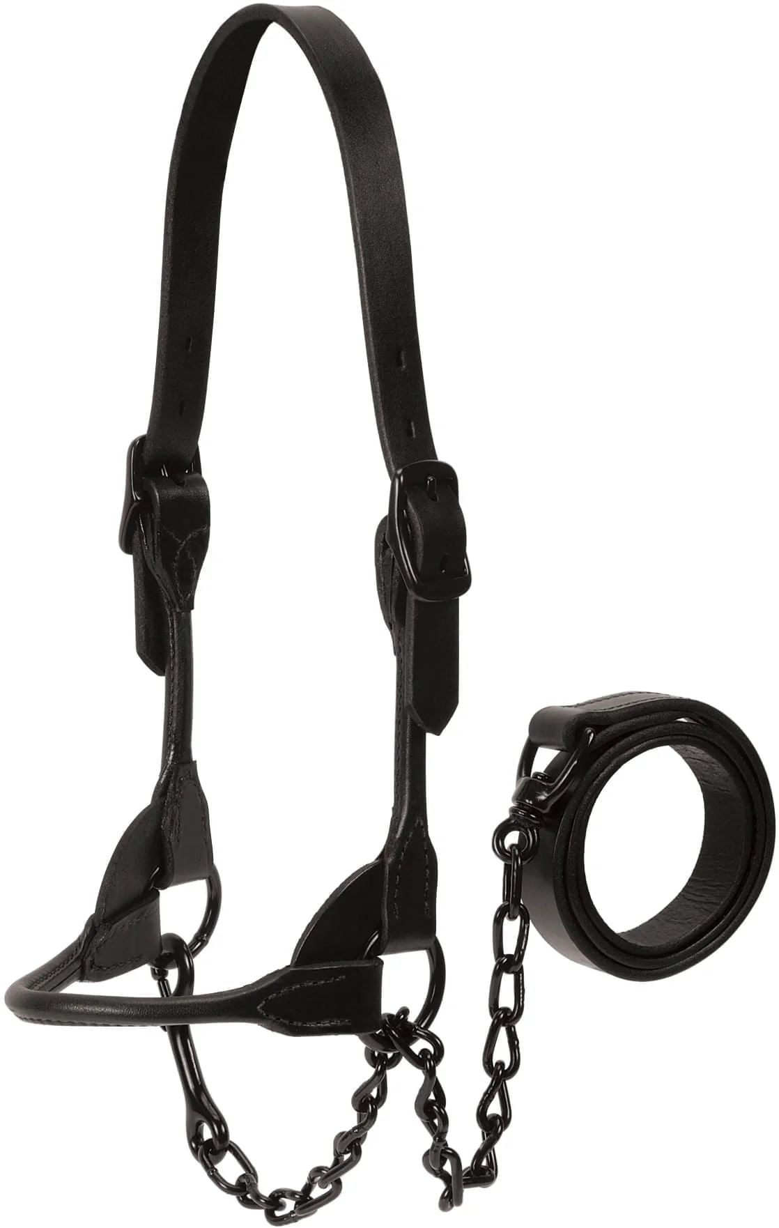 Kirk Stierwalt Black Magic Show Halter