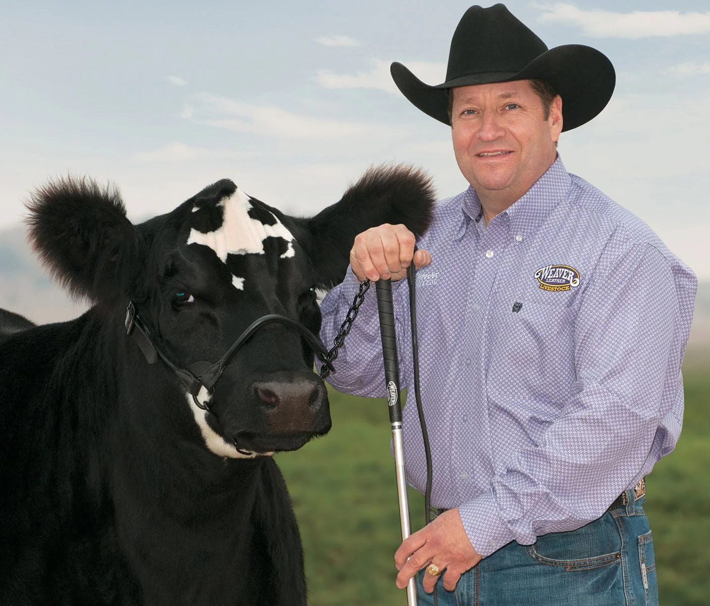 Kirk Stierwalt Black Magic Show Halter - Image 2