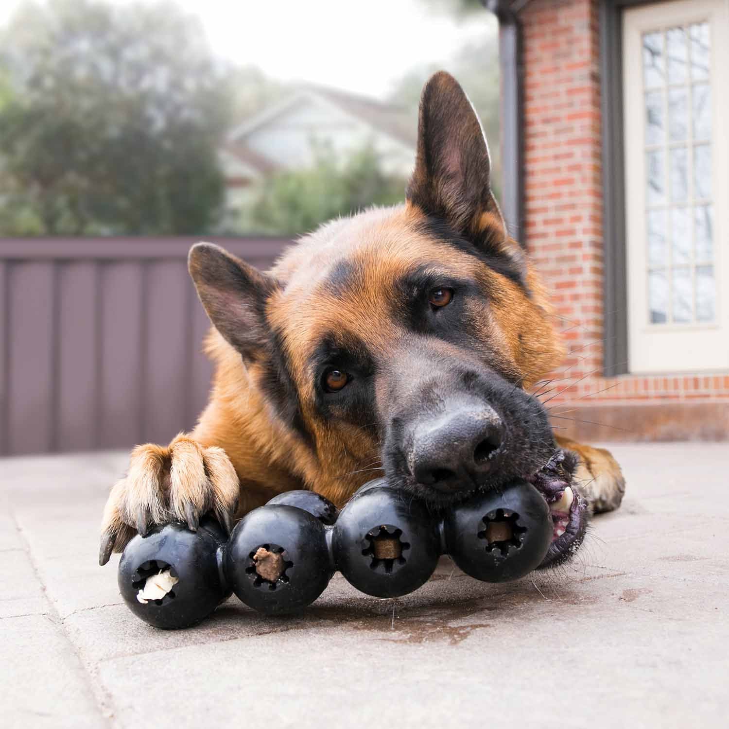 KONG Extreme Goodie Ribbon, Black, Large - Image 4