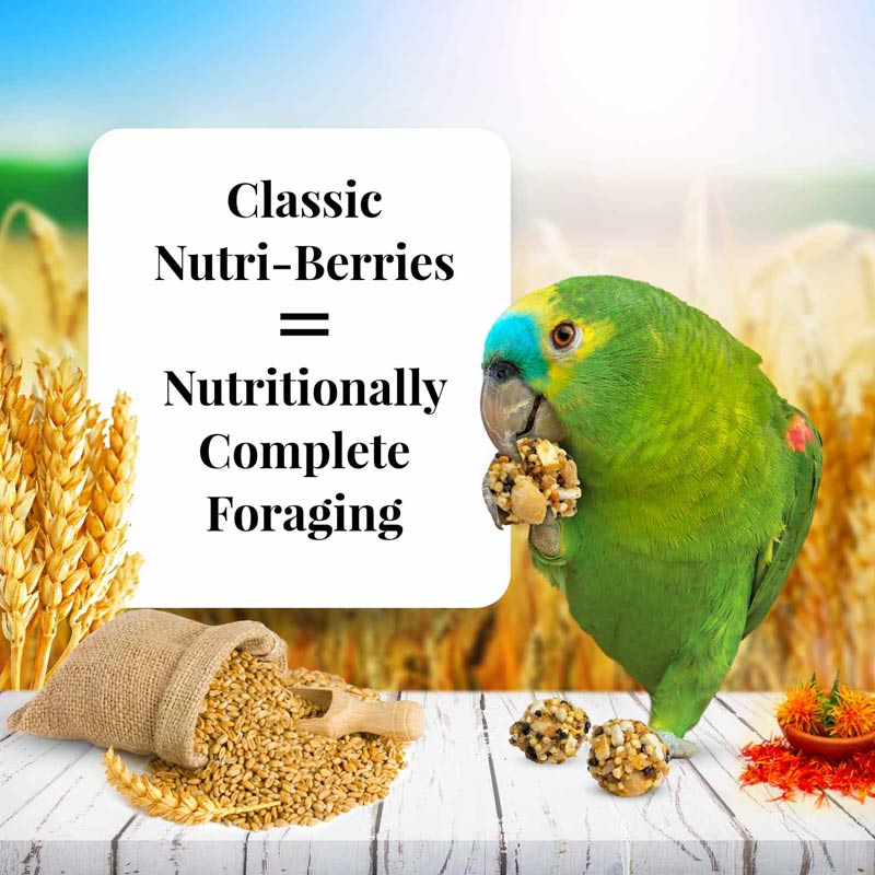 Lafeber Classic Nutri-Berries Bird Food, 10 oz – Foraging Formula for Small, Medium & Large Birds - Image 3