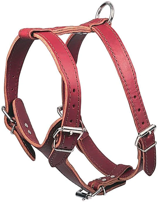 Latigo Leather Medium Harnesses, Plain - Image 7