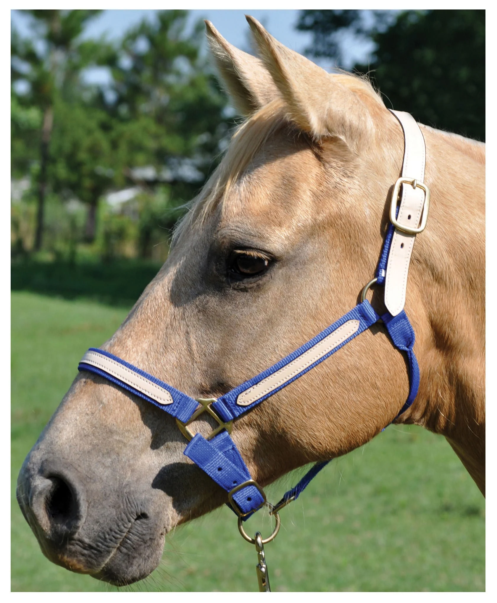 Tough1 Leather Overlay Breakaway Horse Nylon Halter - Image 14