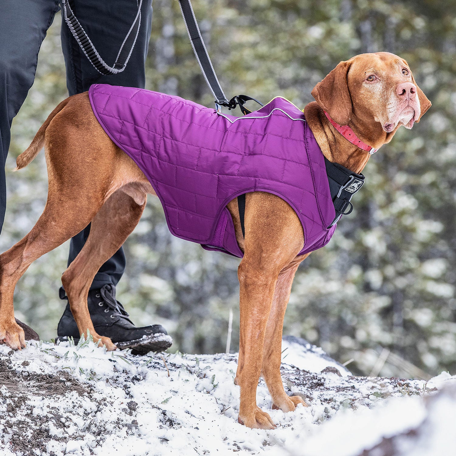 Kurgo Reversible Loft Jacket - Image 43