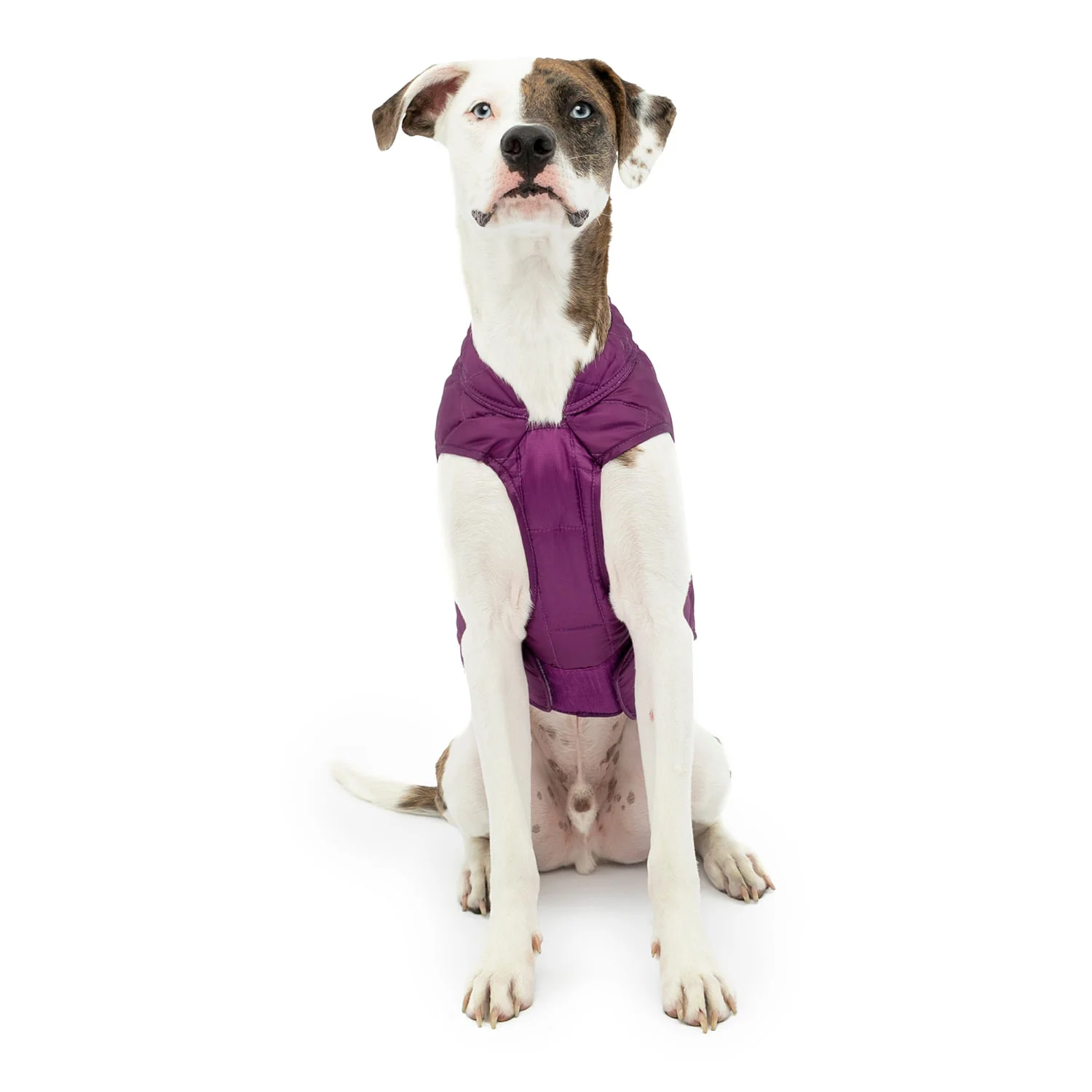 Kurgo Reversible Loft Jacket - Image 48