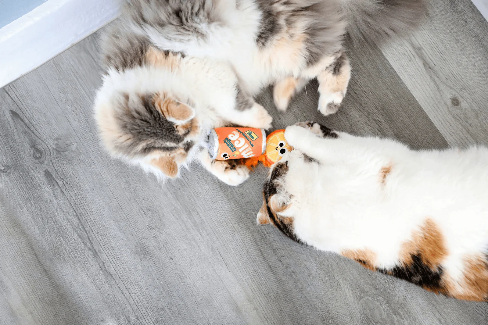 Mad Cat Orange Mice Soda - Image 4