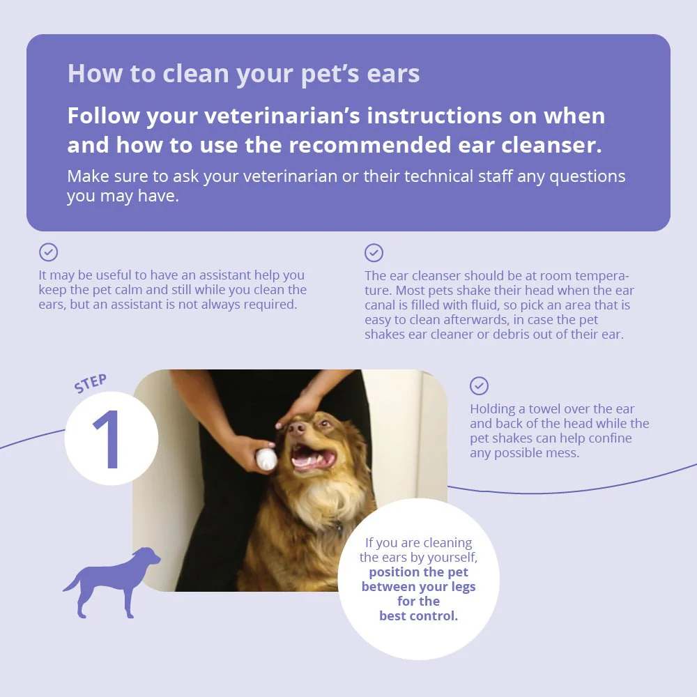 Dechra Mal-A-Ket Plus TrizEDTA Antibacterial & Antifungal Flush for Dogs & Cats - Image 7
