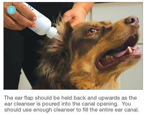 Dechra Mal-A-Ket Plus TrizEDTA Antibacterial & Antifungal Flush for Dogs & Cats - Image 8