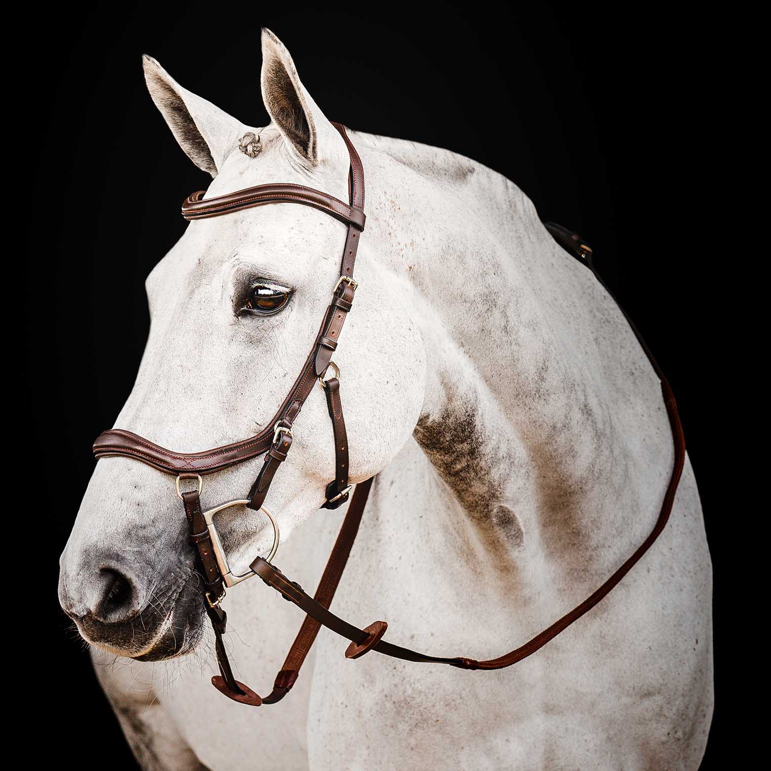 Micklem 2.0 Deluxe Competition Bridle for Horses - Padded Leather, Reins Included, Dressage & Show Bridle