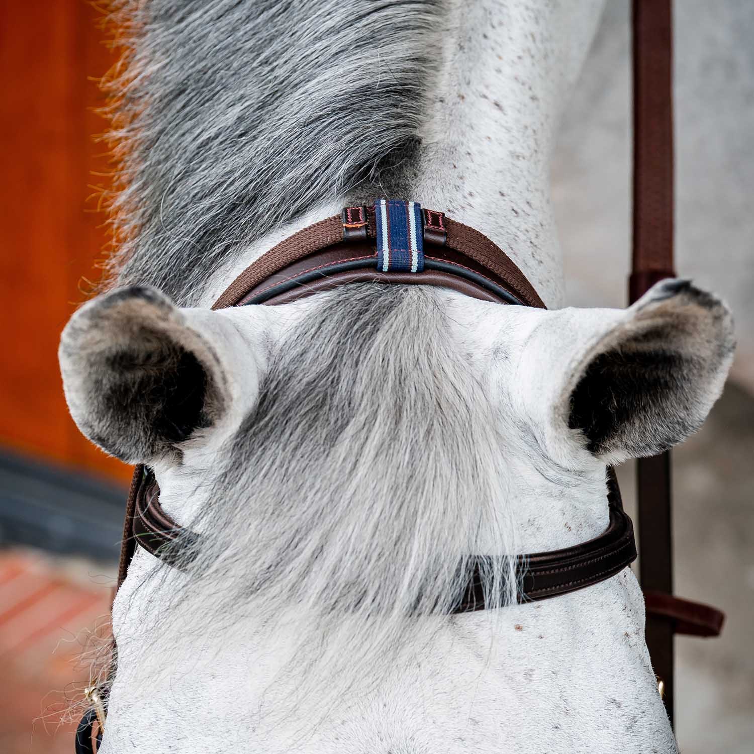 Micklem 2.0 Multi Bridle for Horses – Adjustable Bit Straps, Padded Leather, Pressure-Relief Design - Image 5