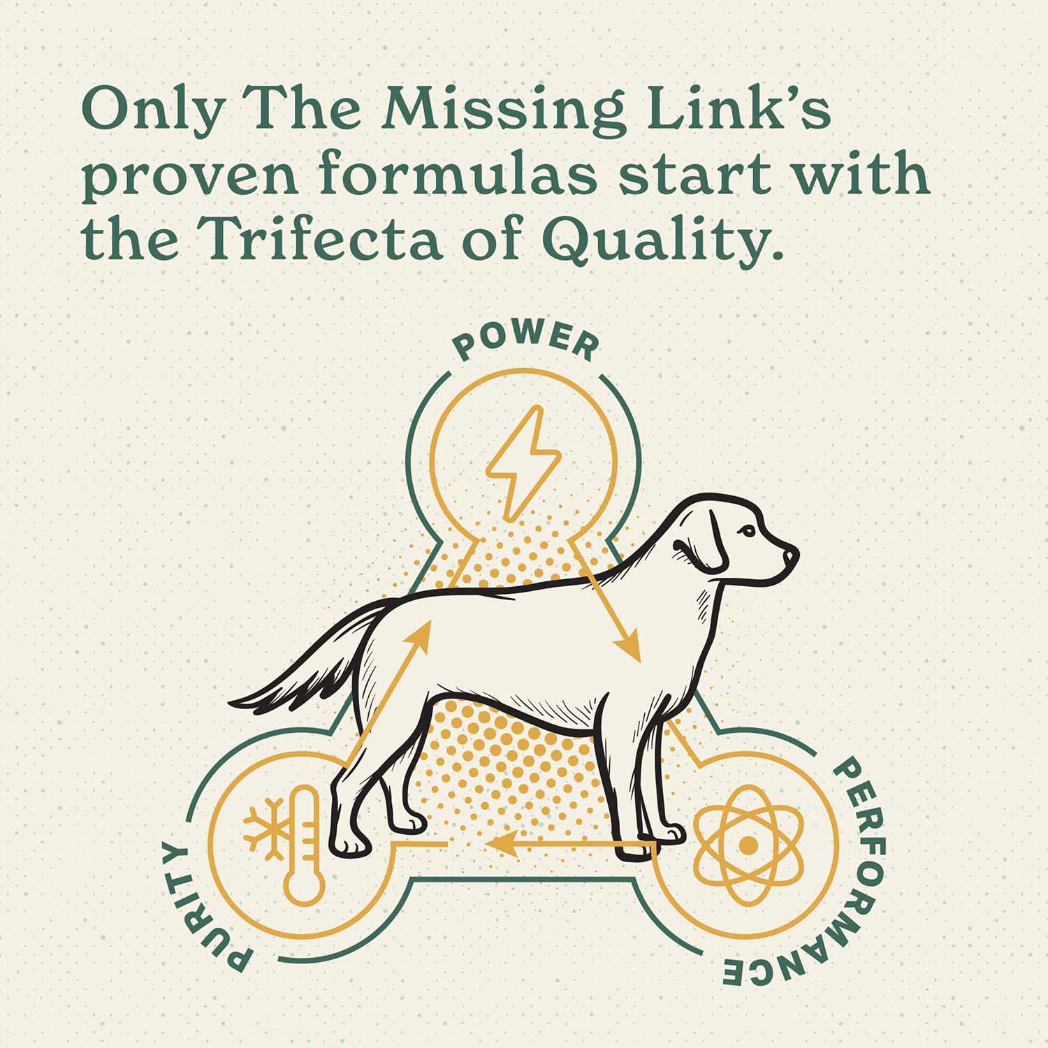 Missing Link Ultimate Hip & Joint Formula for Dogs, 1 lb - Image 6