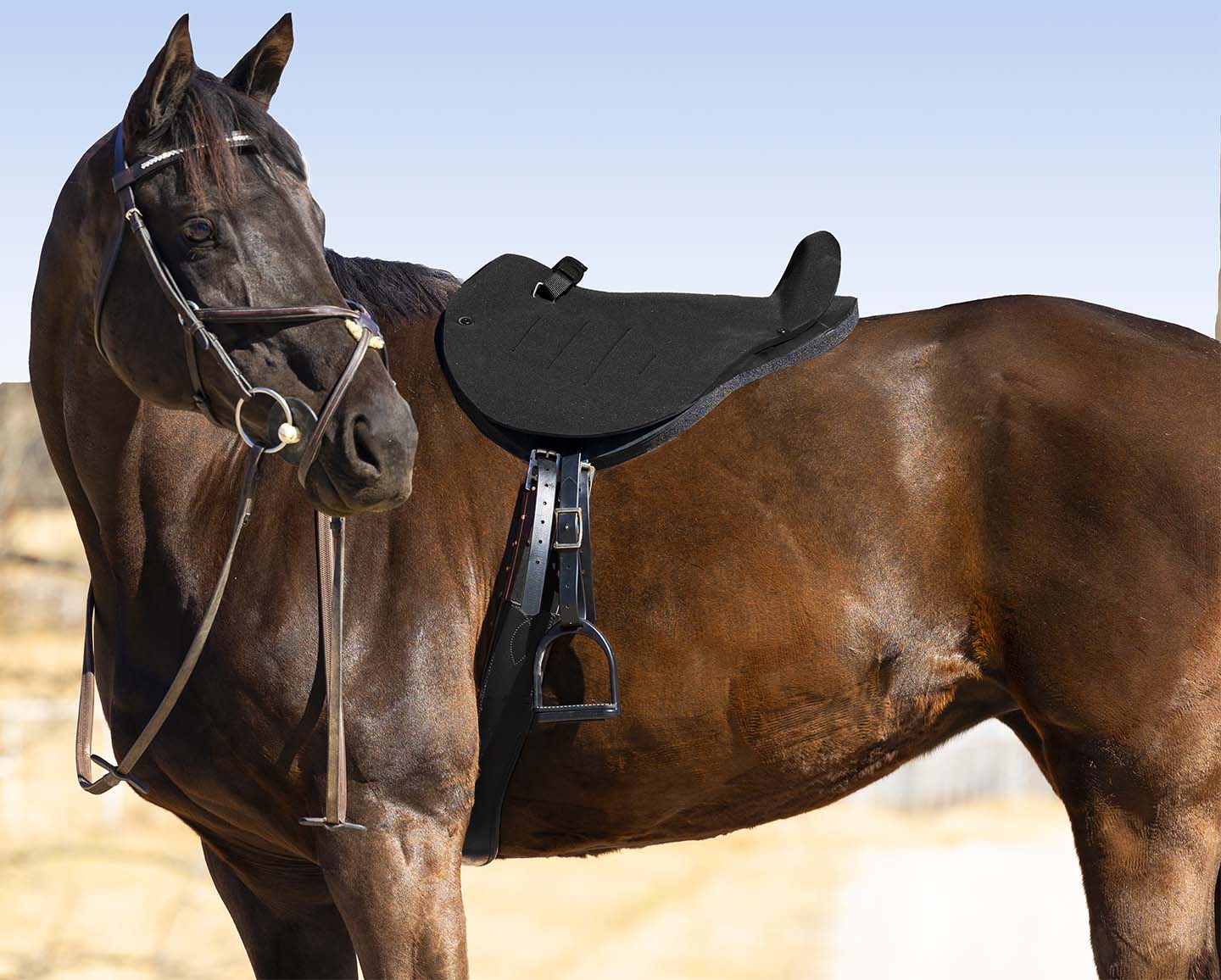 Mustang English Soft Ride Bareback Saddle, Black - Image 2