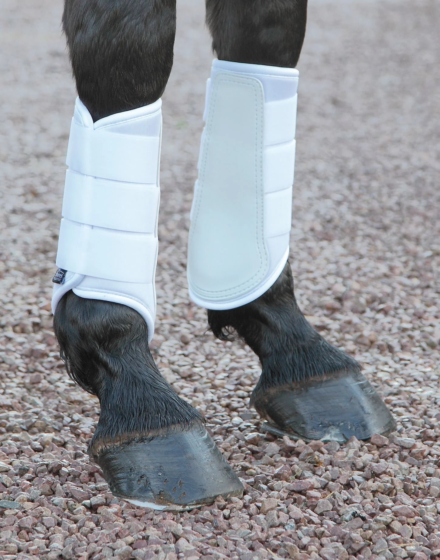 Shires Neoprene Brushing Boots - Image 23