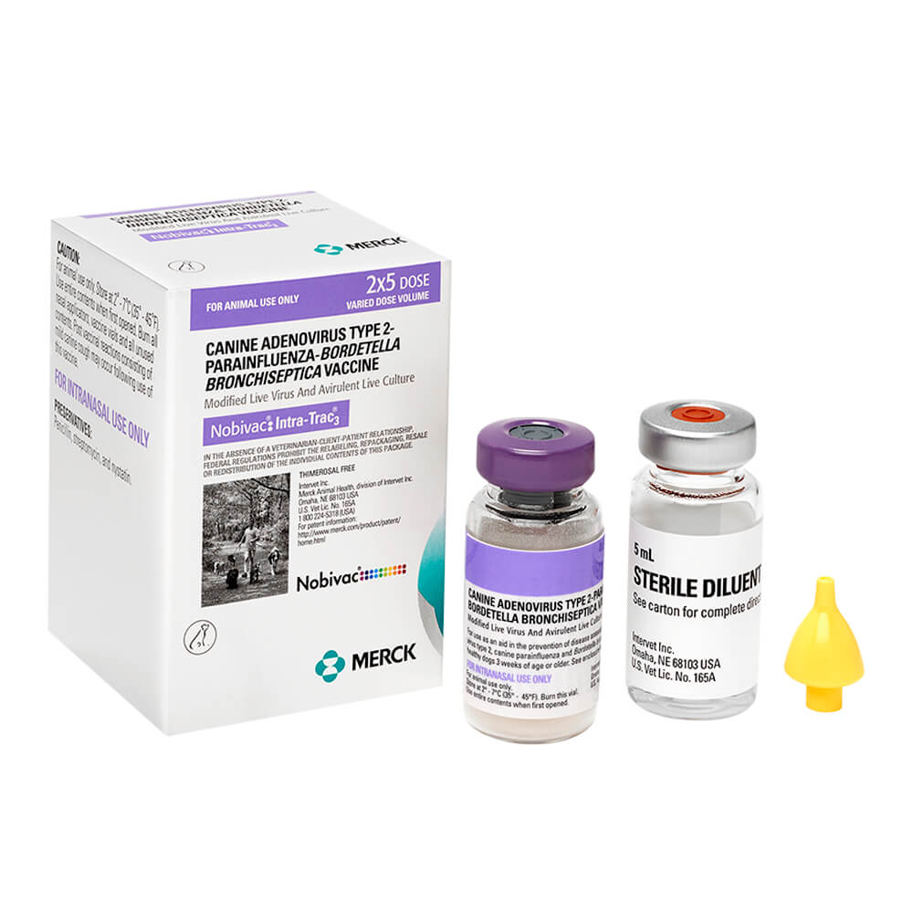 Nobivac Intra-Trac 3 Intranasal Dog Vaccine - Image 7