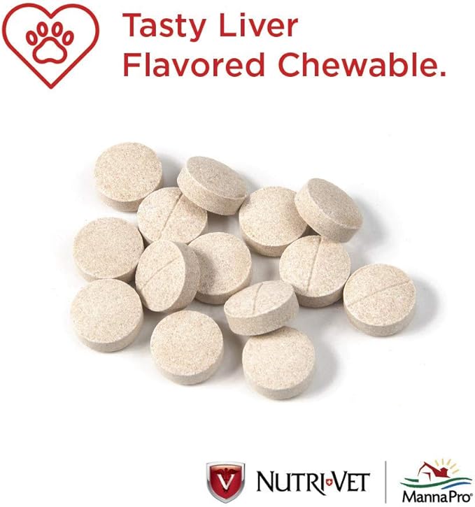 Nutri-Vet Hip & Joint Regular Strength Chewables for Dogs - Image 15