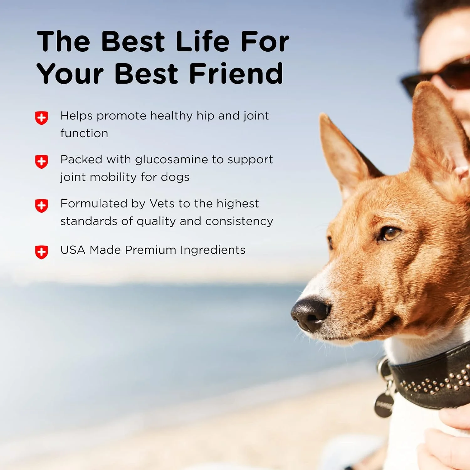 Nutri-Vet Hip & Joint Regular Strength Chewables for Dogs - Image 4