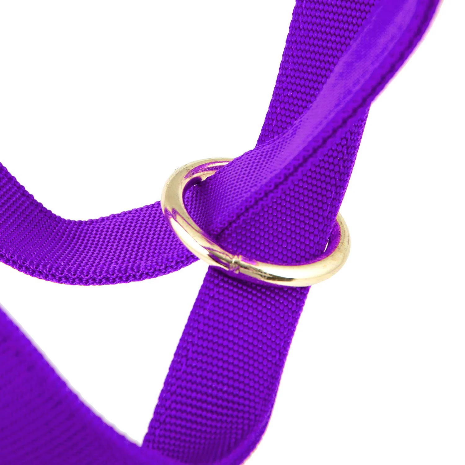 Jeffers Nylon Cow Halter - Image 18