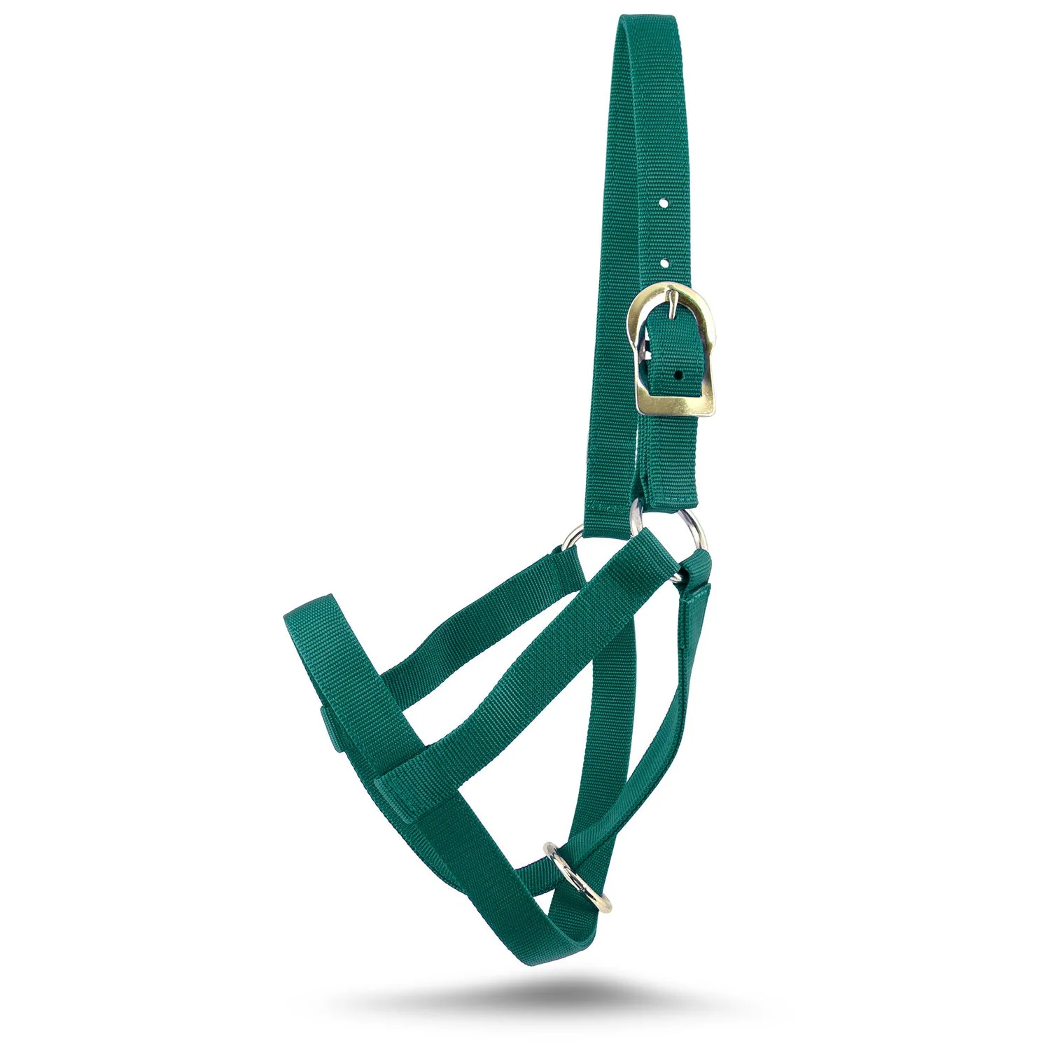 Jeffers Nylon Cow Halter - Image 20