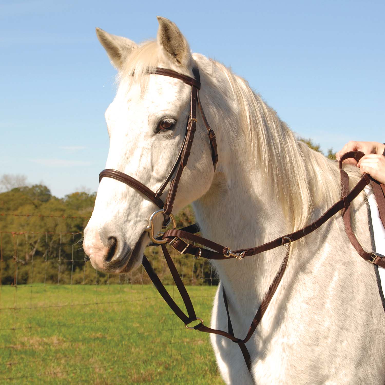 Jeffers German Olympic Running Martingale for Horses with Reins - Image 2
