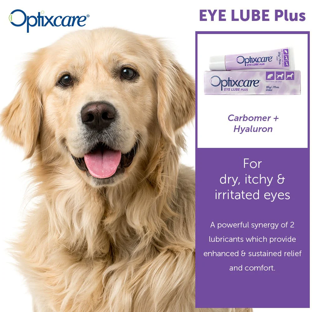 Optixcare Eye Lube Plus, 20gm - Image 6