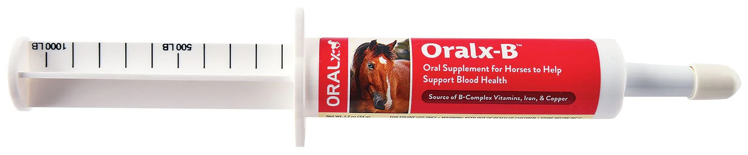 Oral X-B – Blood Health Supplement for Horses, 34 g