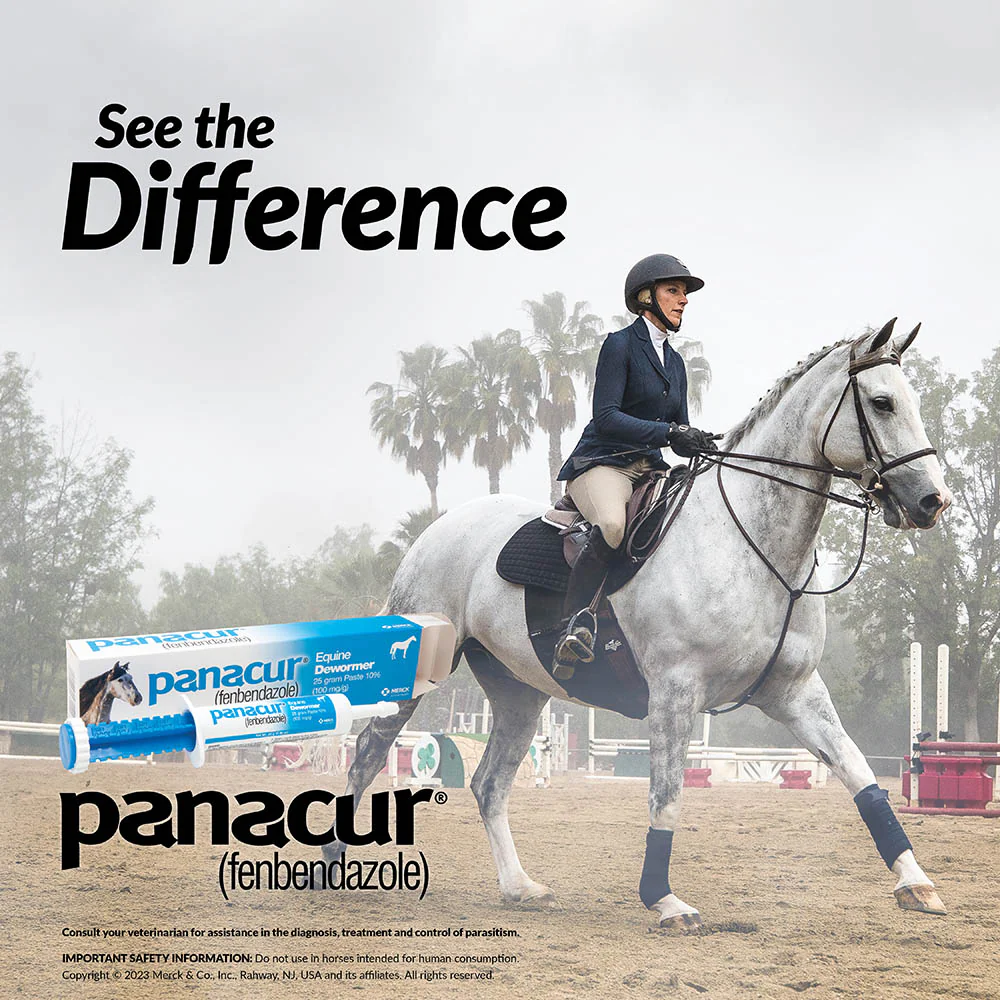 Panacur Equine Fenbendazole Dewormer Paste, 25 g - Image 10