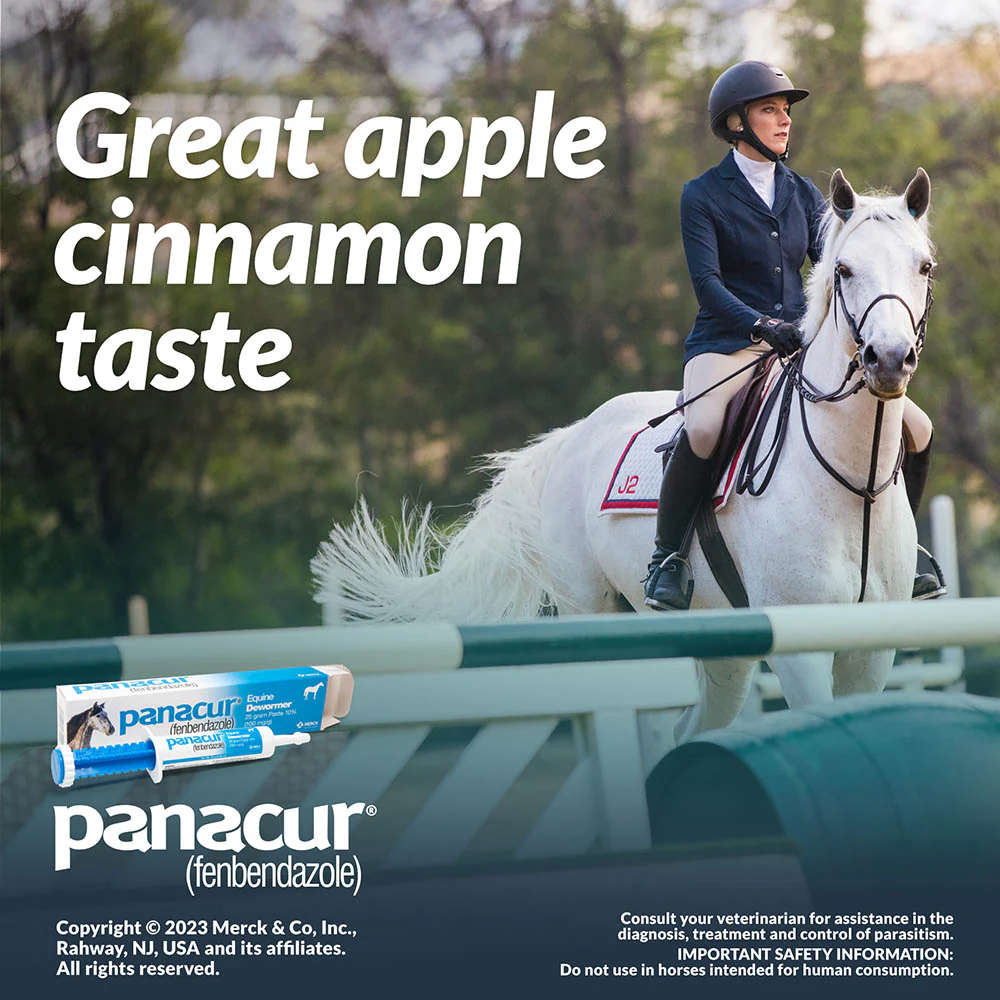 Panacur Equine Fenbendazole Dewormer Paste, 25 g - Image 12