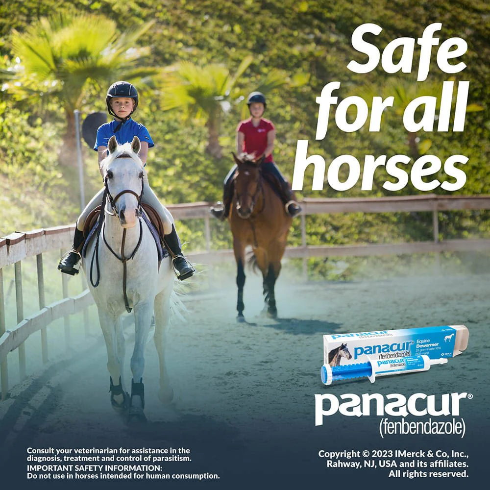 Panacur Equine Fenbendazole Dewormer Paste, 25 g - Image 3