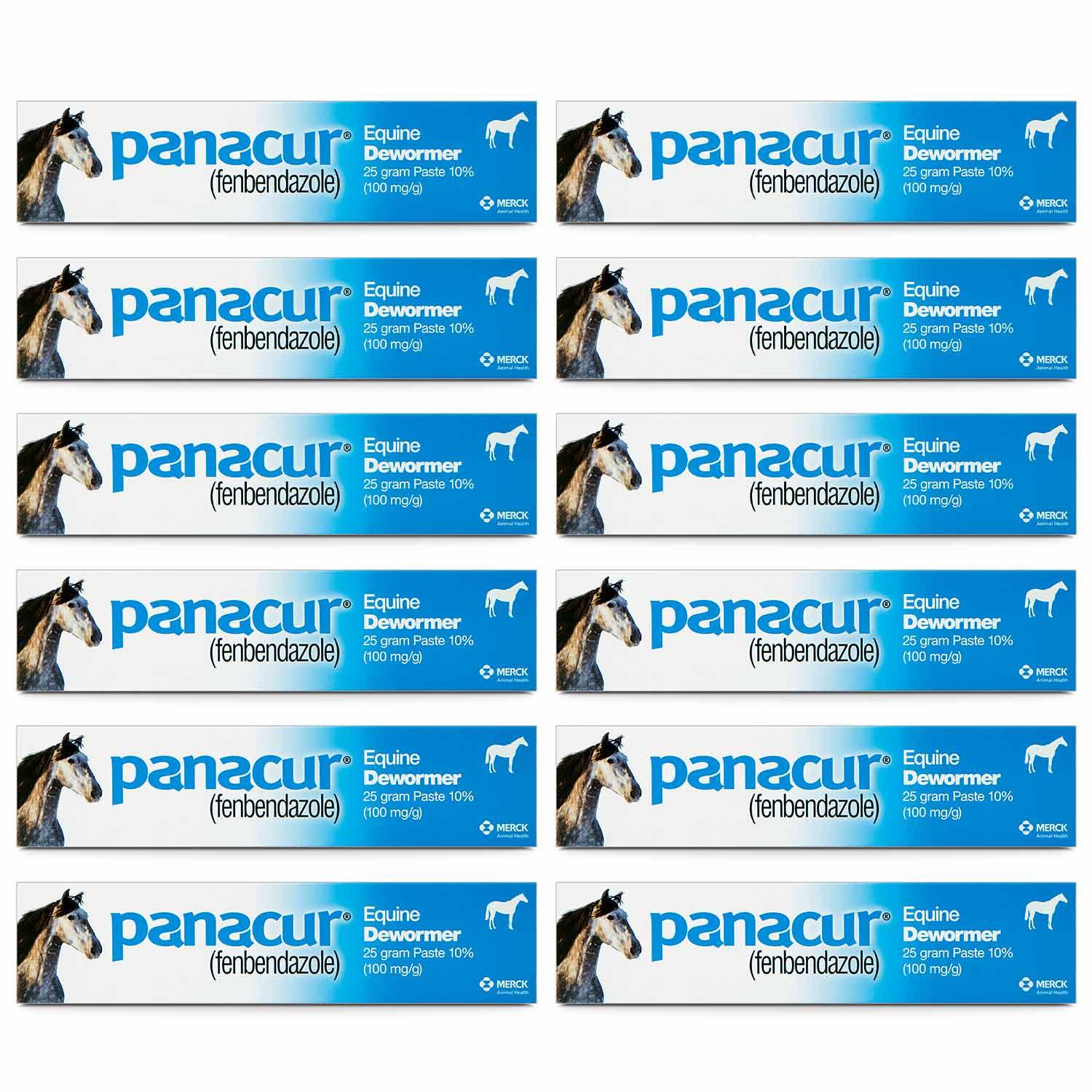Panacur Equine Fenbendazole Dewormer Paste, 25 g - Image 9