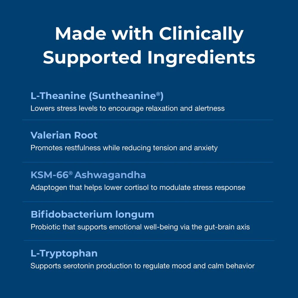 Dyne Calming & Stress Support Soft Chews for Dogs – Natural Stress Relief for Noise, Travel & Separation Anxiety - Image 6
