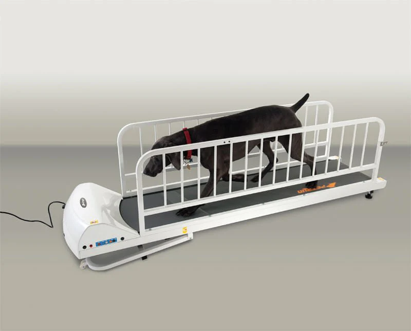 PetRun Large Breed Dog Treadmill (PR725) for Dogs Up to 175 lbs