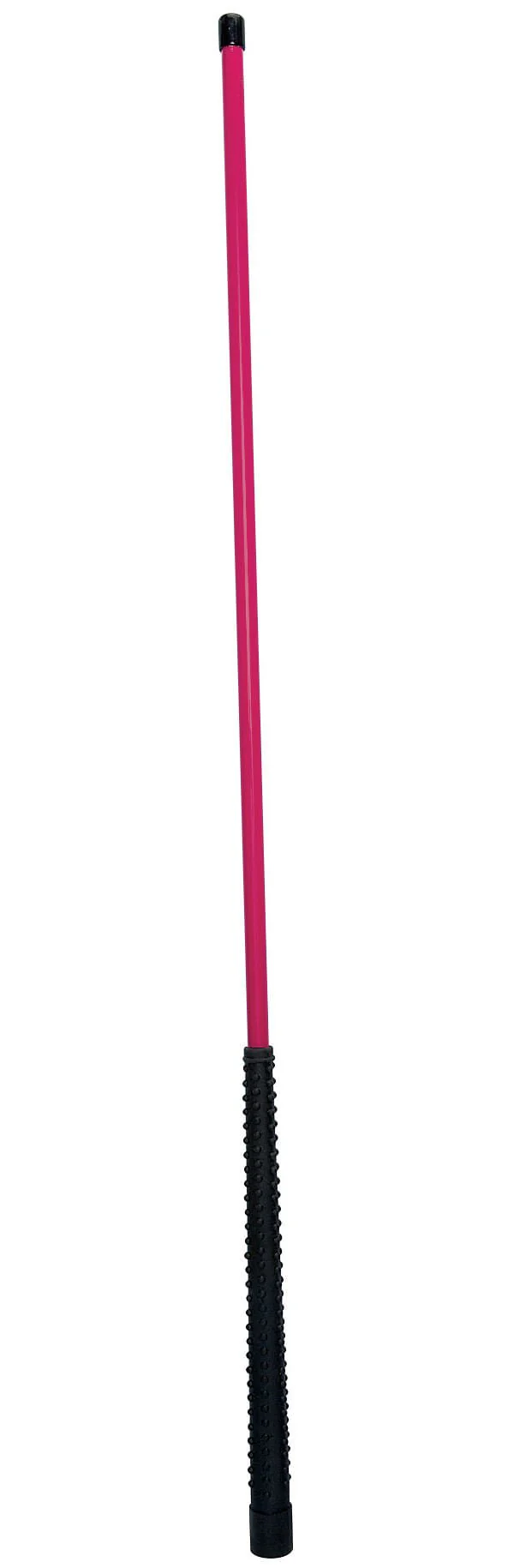 Pig Sticks, 30" L