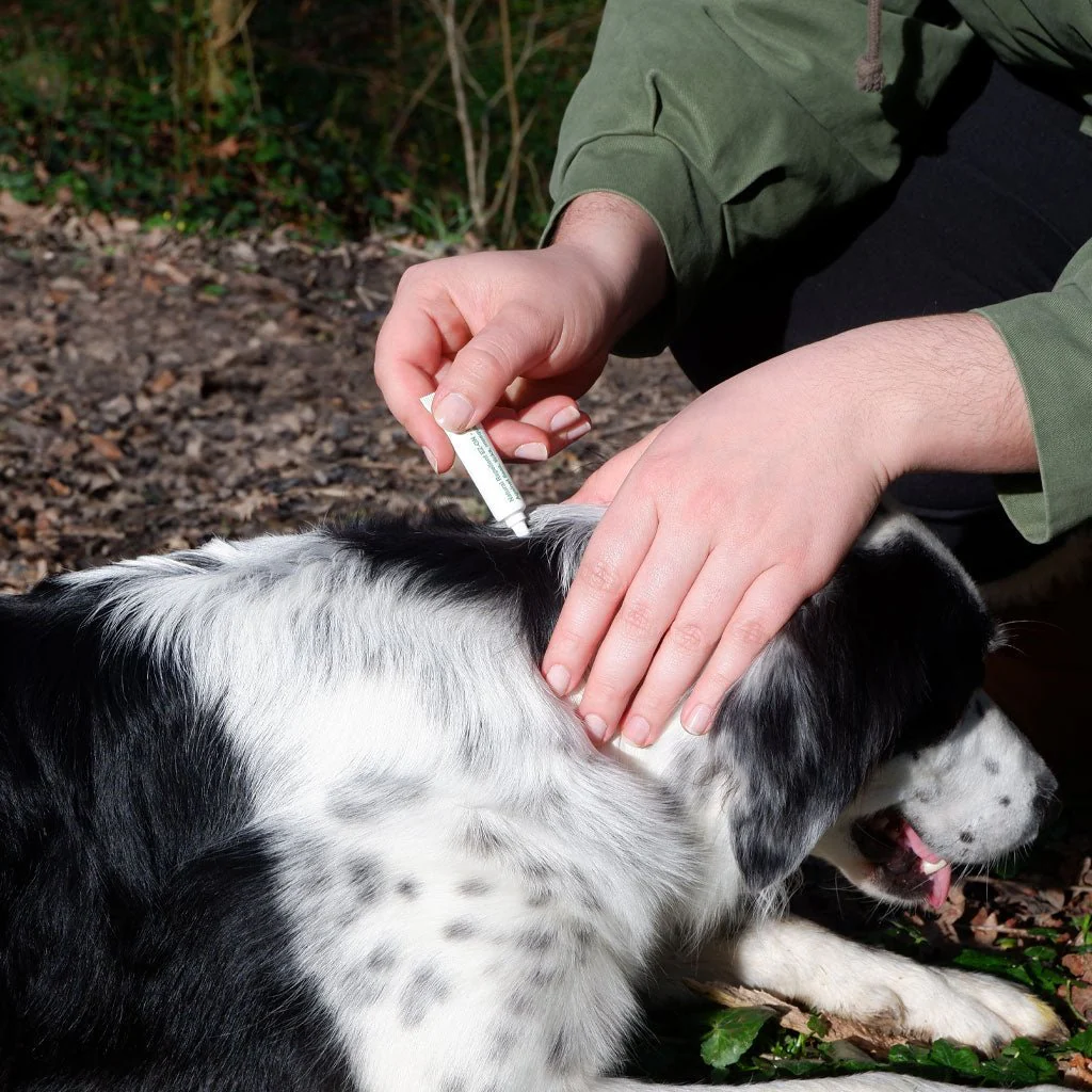 Natural Plant-Based Flea & Tick Squeeze-On Topical for Dogs - Image 7