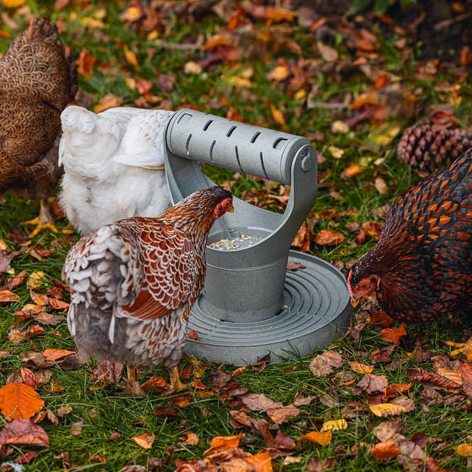 Backyard Chicken Feed Tower – Promotes Exercise and Mental Stimulation - Image 2