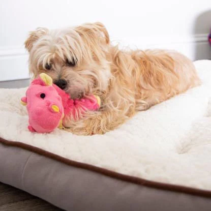 Plush Dragon Dog Toy - Image 37