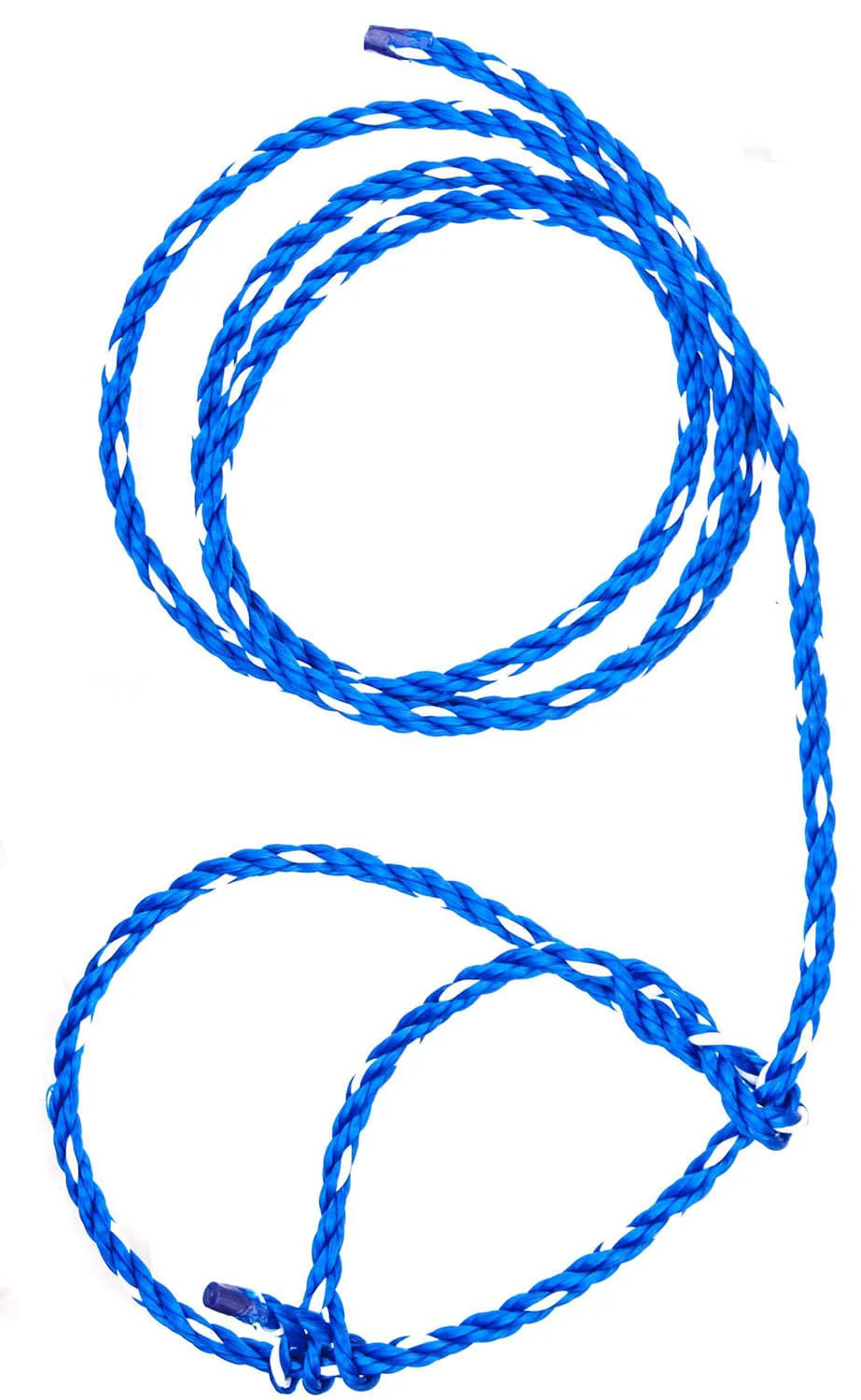 Troyer’s Poly Calf Halter with 5' Lead – Durable 3/8" Poly Rope - Image 2
