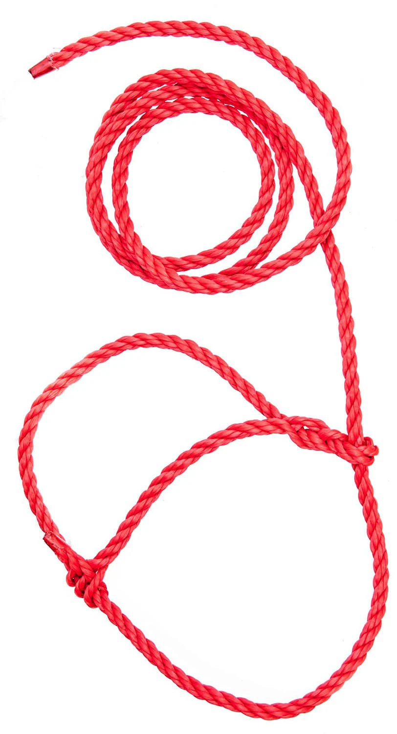Troyer’s Poly Calf Halter with 5' Lead – Durable 3/8" Poly Rope - Image 9