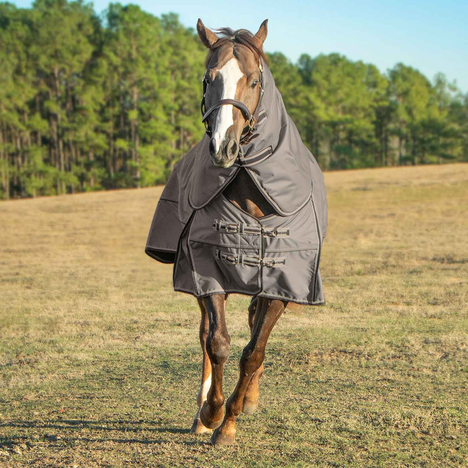 Jeffers Poplar Head "Defense" 1680 Denier Turnout Blanket with Detachable Neck, 240 Gram, Plymouth Brown - Image 4